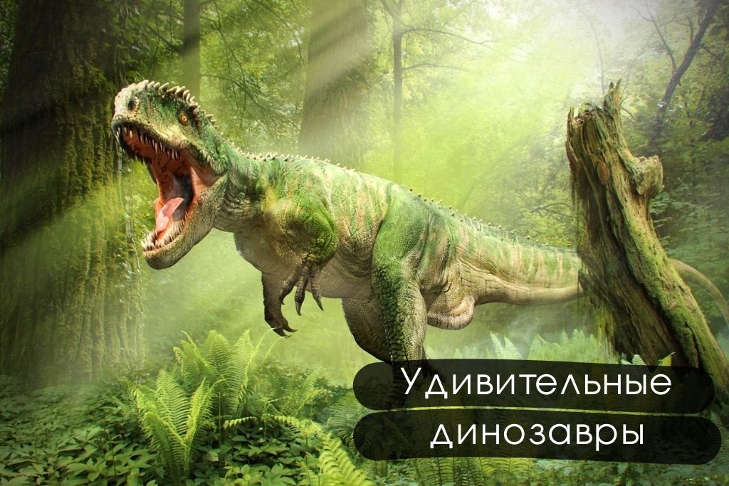 Книги об удивительных динозаврах