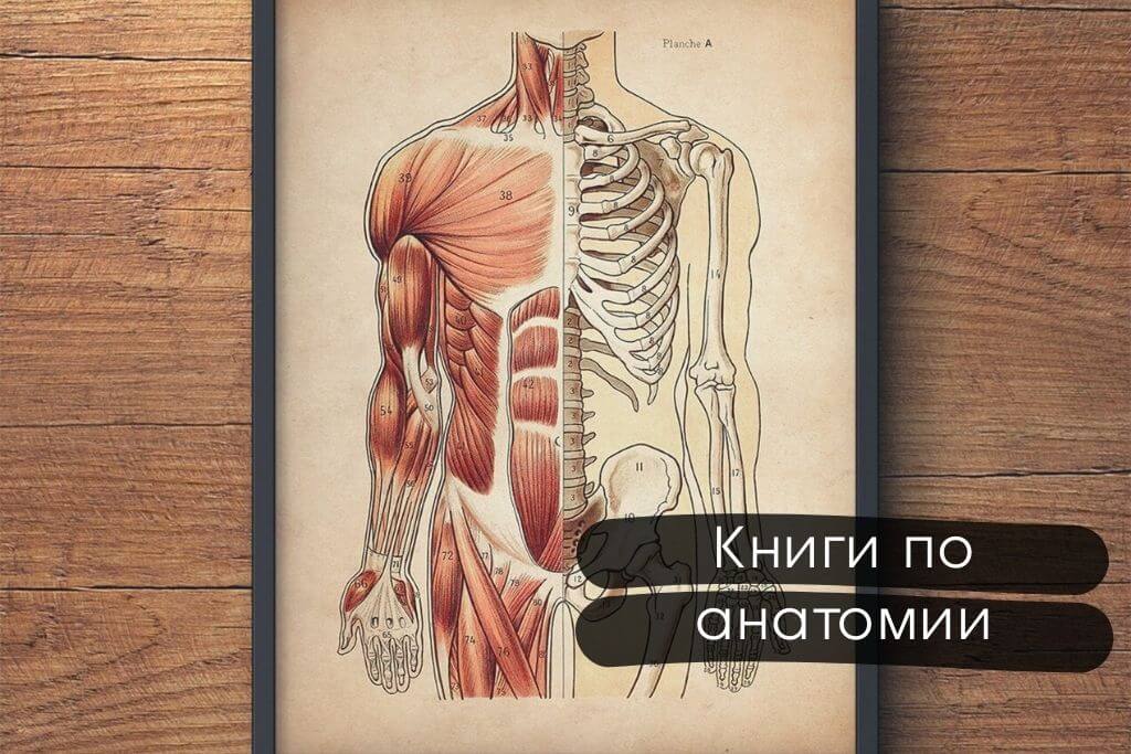 Книги по анатомии