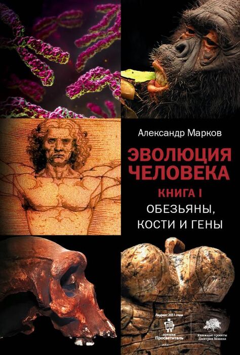 Марков А. «Эволюция человека. Обезьяны, кости и гены»