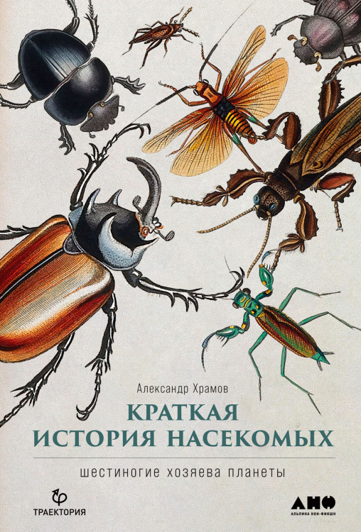 Краткая история насекомых